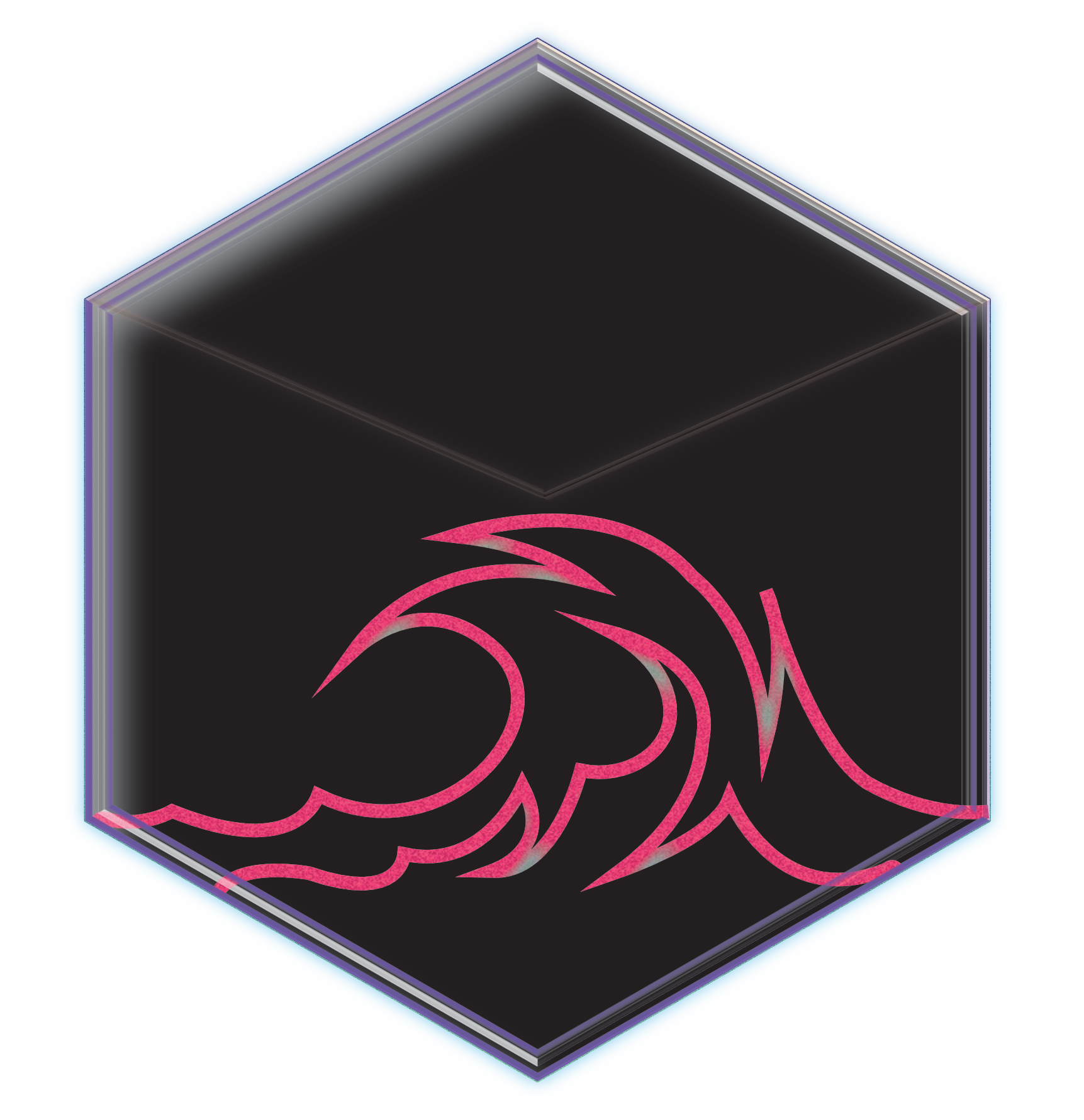Program Donations